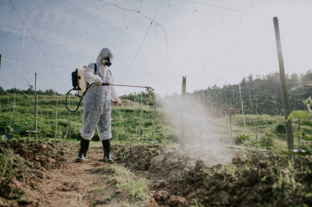 Best Pest Control for Businesses  in Mingo Junction, OH