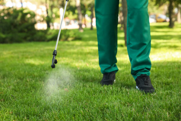 Best Residential Pest Control  in Mingo Junction, OH