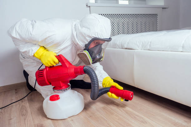 Wasp Removal Services in Mingo Junction, OH