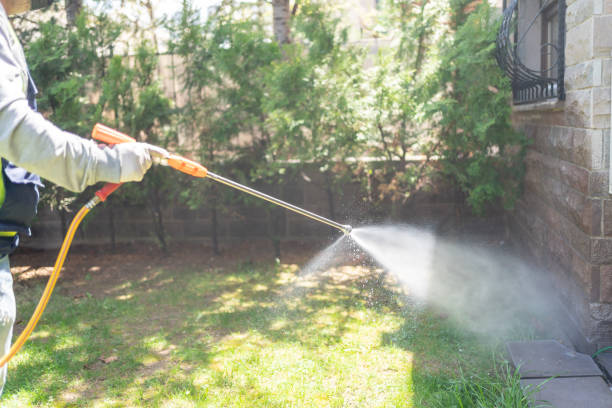 Best Affordable Pest Control Services  in Mingo Junction, OH